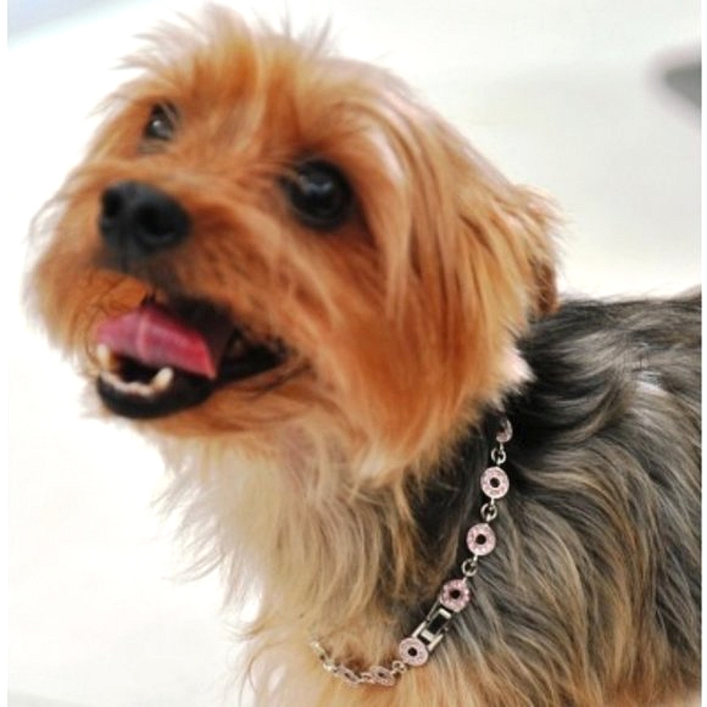 Puppia Crystal Pet Jewellery